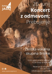 Orgljičarji2 Orgljičarji2